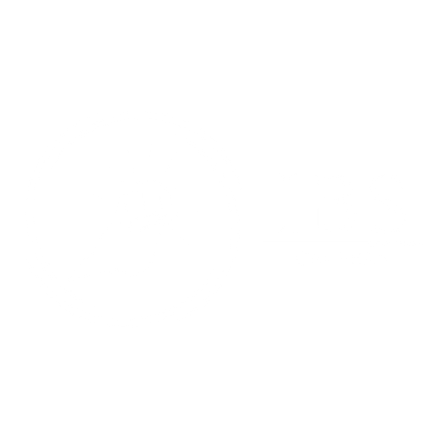 Empowering Careers, Enabling Success